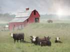Pennsylvania Dairy Farm Art Print