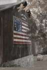 American Pride Art Print