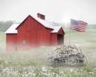 USA Morning Glory Art Print