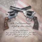 The 2nd Amendment Art Print