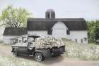 Willow Tree Farms Art Print