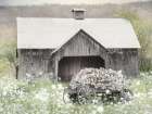 Country Life for Me Art Print