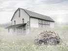Whispering Willow Farm Art Print