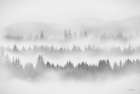 Whispering Forest Art Print