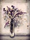 Country Spring Blossoms Art Print