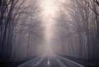 Disappearing Destination Art Print