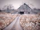 Reclaimed Beauty Art Print