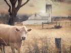 Country Morning Cow Art Print