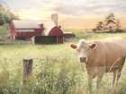 Sunset in the Country Art Print