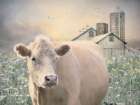 Among the Wildflowers Art Print