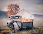 Pumpkin Patch Picks I Art Print