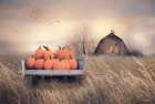 Autumn Haul I Art Print
