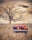 Autumn Haul II Art Print