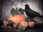 Harbinger of Autumn Art Print