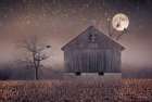 October Moonlit Night Art Print