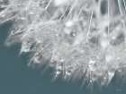 Droplet in Time II Art Print