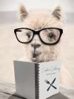 Cooking Alpaca Art Print