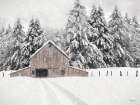North Country Art Print