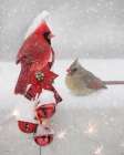 Snowy Christmas Cardinals Art Print