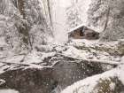 Winter Stream Hideaway Art Print