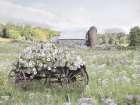 Wagon Wheel Garden Art Print