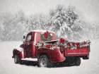 Winter Wonderland Art Print