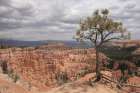 View of Bryce Canyon Art Print