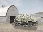 Wagon Full of Sunshine Art Print