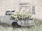 Rustic Hood Ornament Art Print