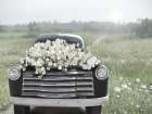 Floral Journey Art Print