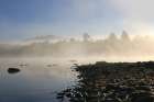 Lakeshore Misty Morning Art Print