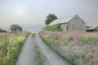Wildflower Lane Art Print