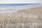 Beyond the Beach Fence Art Print