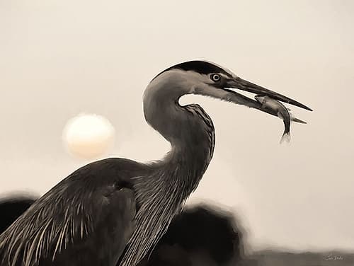 Catch of the Day Art Print