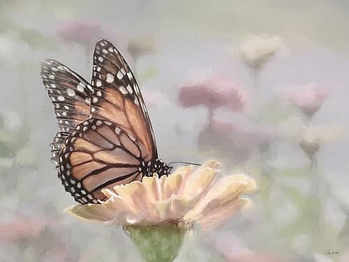 Sweet Zinnias Art Print