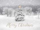 Snow on Christmas Day Art Print