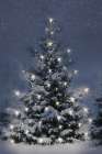 Twinkling Lights at Christmas Art Print