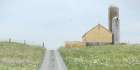 Buttercup Barn Art Print