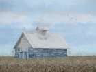 Misty Meadow Farm Art Print
