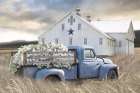The Old Star Barn Art Print