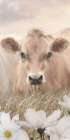 Floral Cow Trio II Art Print