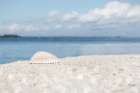 Sanibel Seashell Art Print