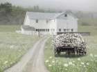 Misty Country Morning Art Print