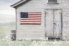 Old Patriotic Shed Art Print