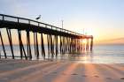 The Piers Morning Visitor Art Print