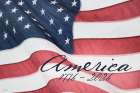 America 1776-2026  I Art Print