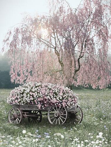 First Breath of Spring Art Print