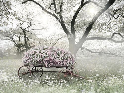 Garden on Wheels Art Print