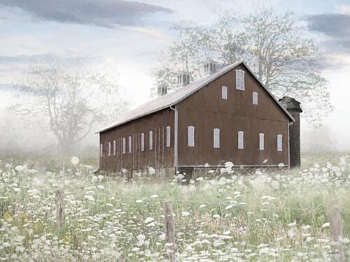 Field of White Art Print