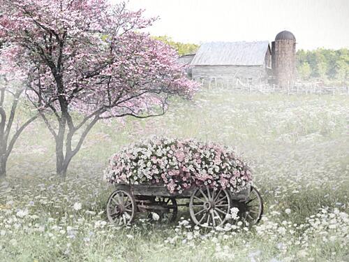 Pink Spring Blossoms Art Print
